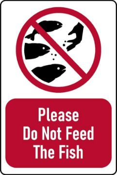 Picture of Please do not feed the fish Sign - 1mm flexible Plastic (400mm x 300mm)